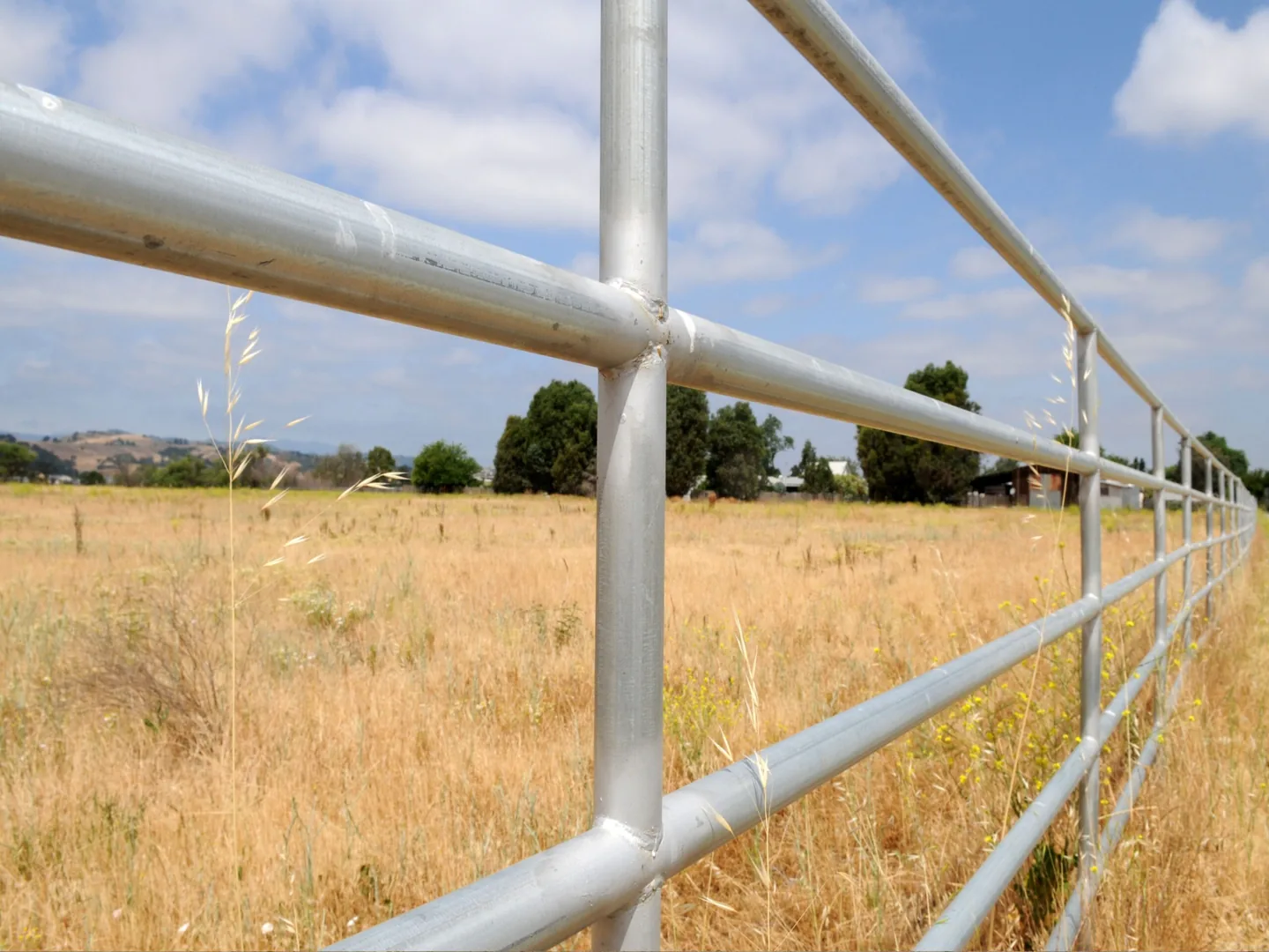 Steel ranch fence